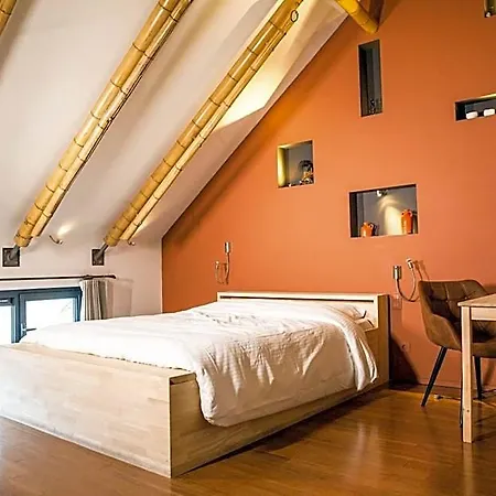 Nest 3* Gent