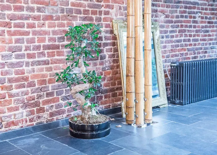 Alojamento de Acomodação e Pequeno-almoço Nest