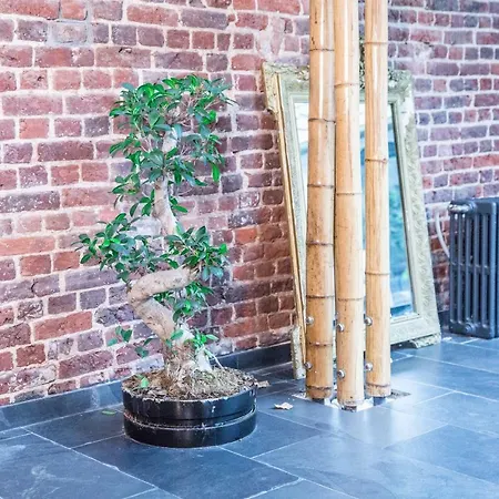 Bed & Breakfast Nest